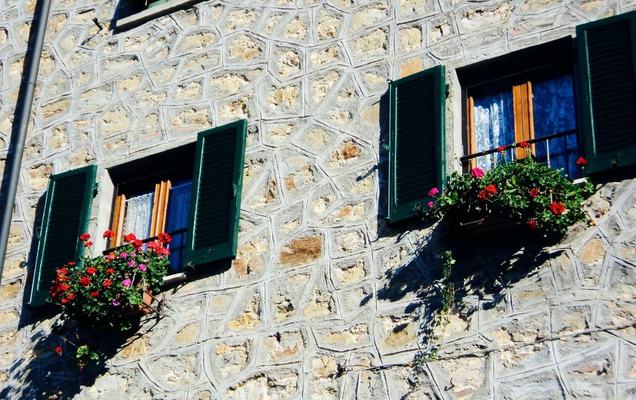 Andante Appartamenti Castelnuovo di Val di Cecina Bagian luar foto