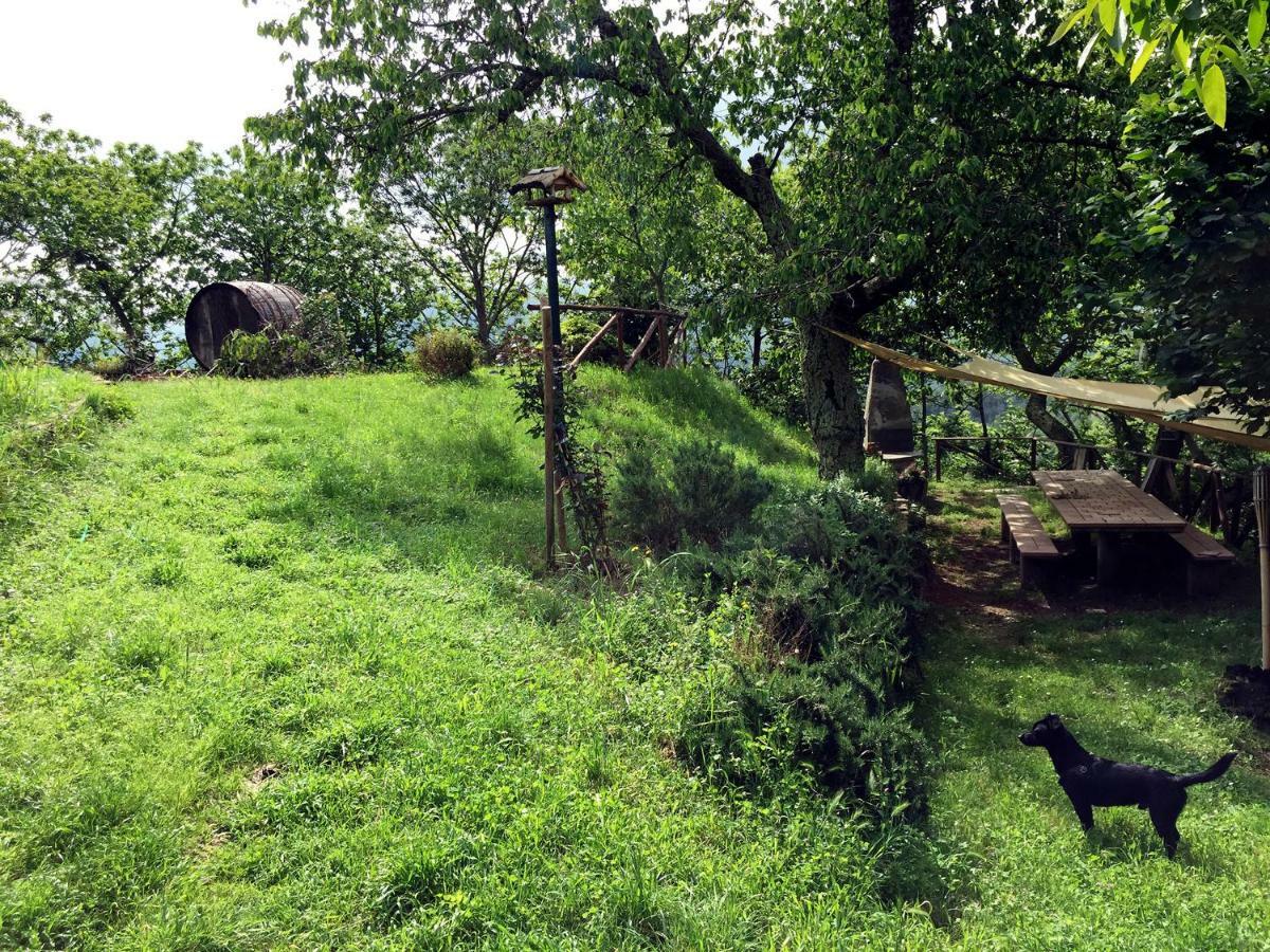 Andante Appartamenti Castelnuovo di Val di Cecina Bagian luar foto