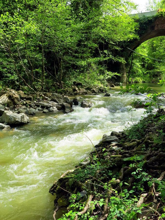 Andante Appartamenti Castelnuovo di Val di Cecina Bagian luar foto