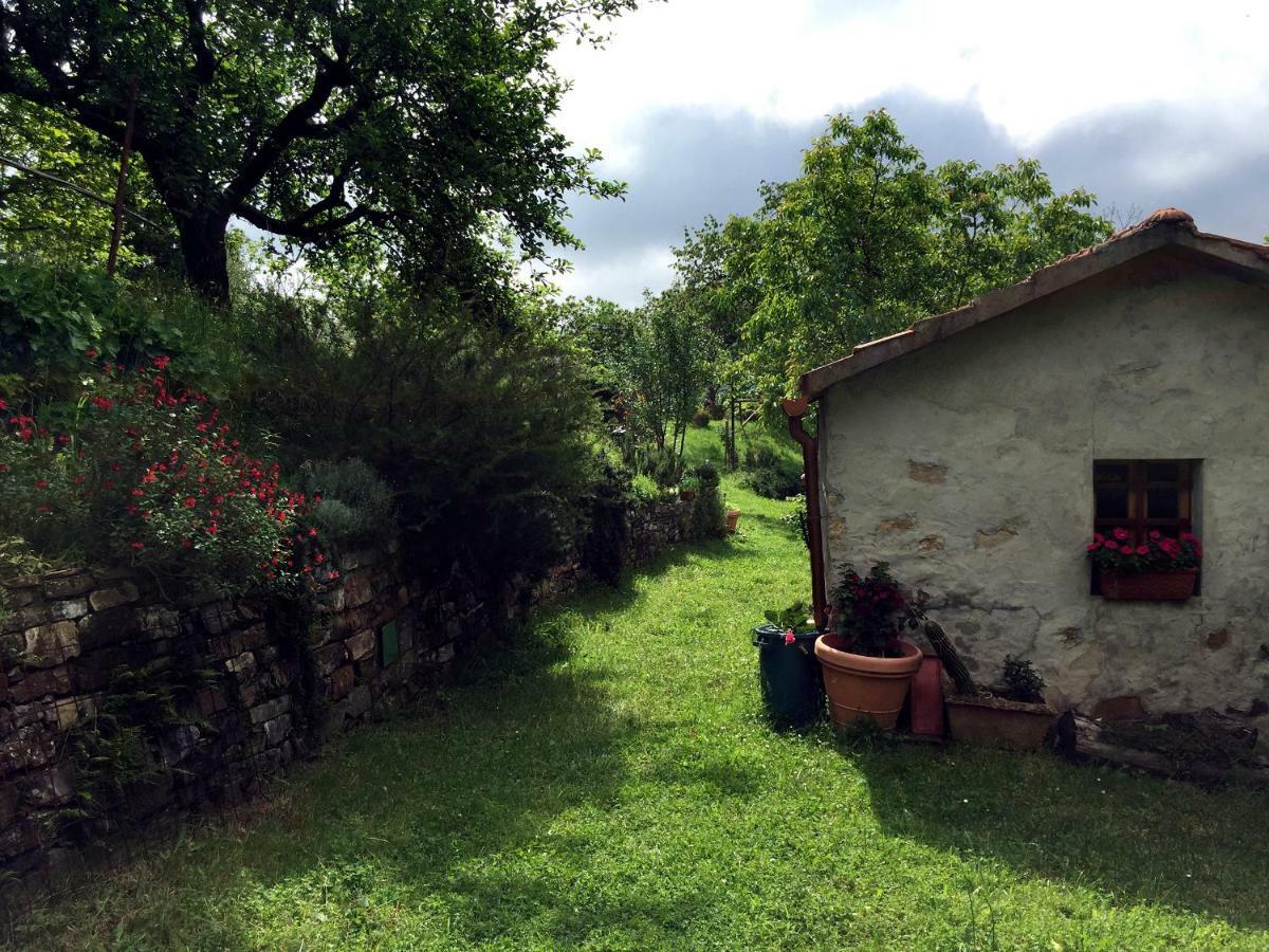 Andante Appartamenti Castelnuovo di Val di Cecina Bagian luar foto