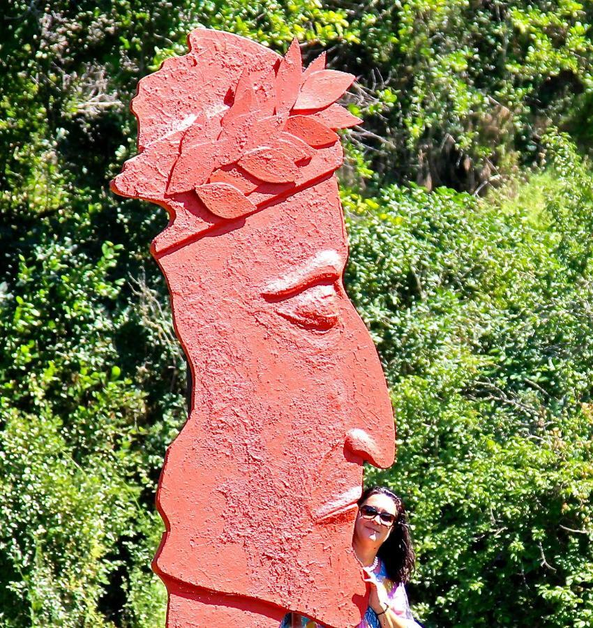 Andante Appartamenti Castelnuovo di Val di Cecina Bagian luar foto
