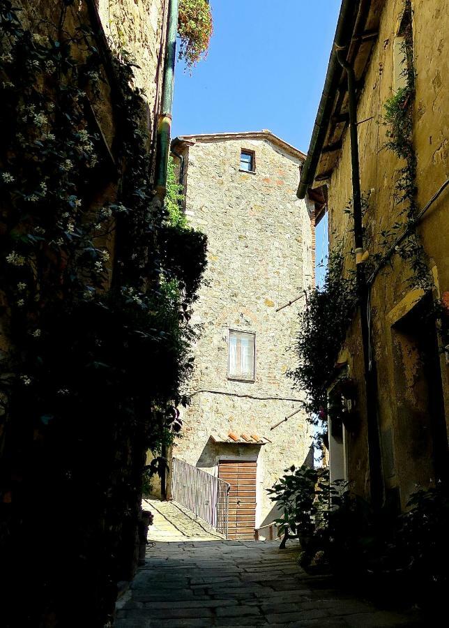 Andante Appartamenti Castelnuovo di Val di Cecina Bagian luar foto